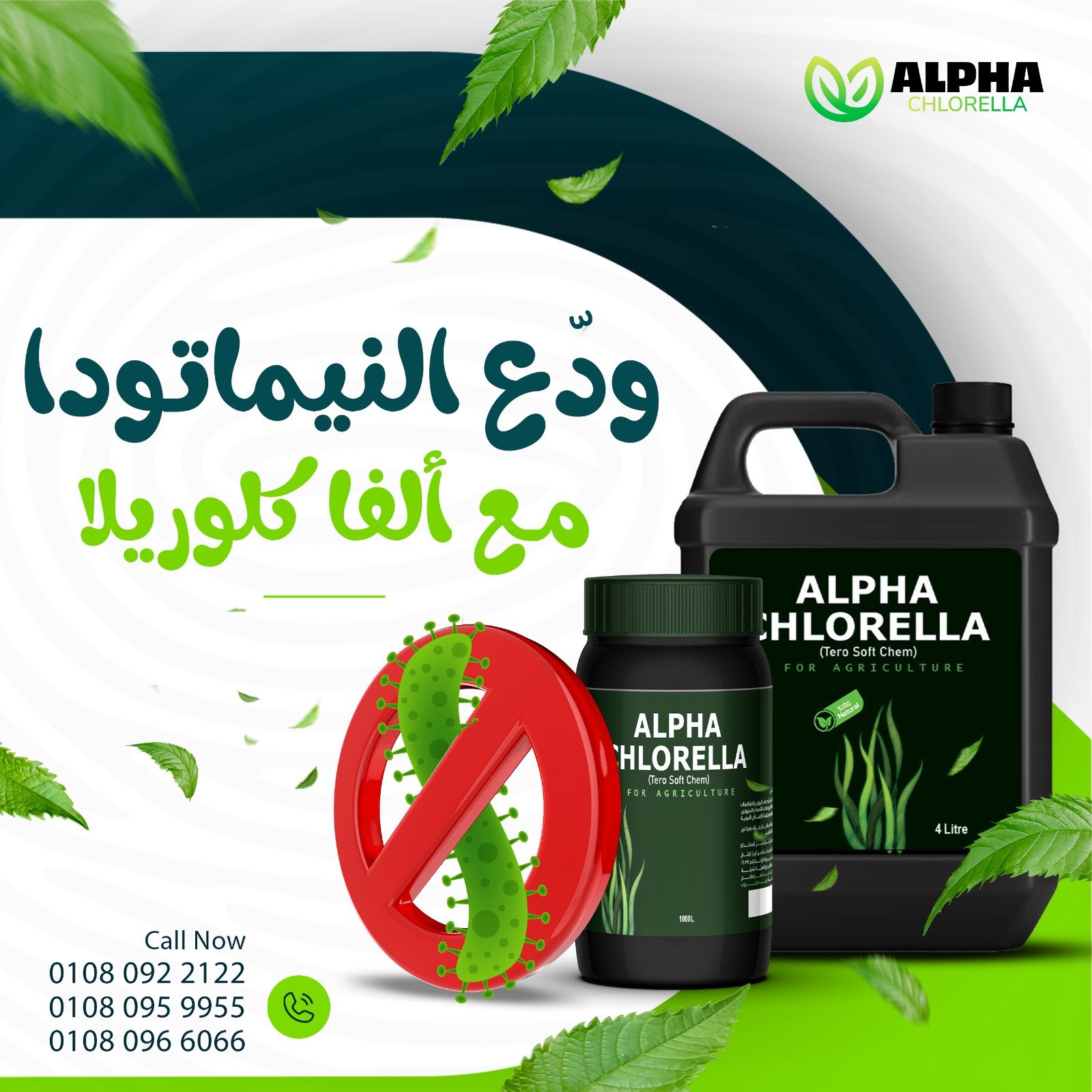 alpha%20chlorella